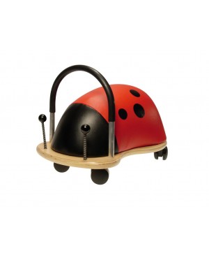 Coccinelle-Large-Wheely-bug