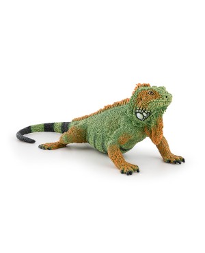 Iguane