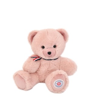 PETIT OURS Français 25 cm -...