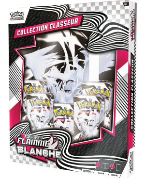 Pokémon : Portfolio(A4) +...