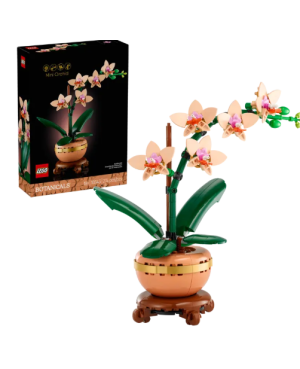 Orchidée miniature botanic