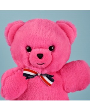 Le Nounours Français Rose...
