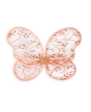 Ailes de bonheur papillon,...