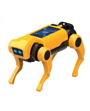 Mini lab - Robot Chien RC
