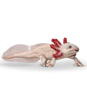 Figurine Axolotl